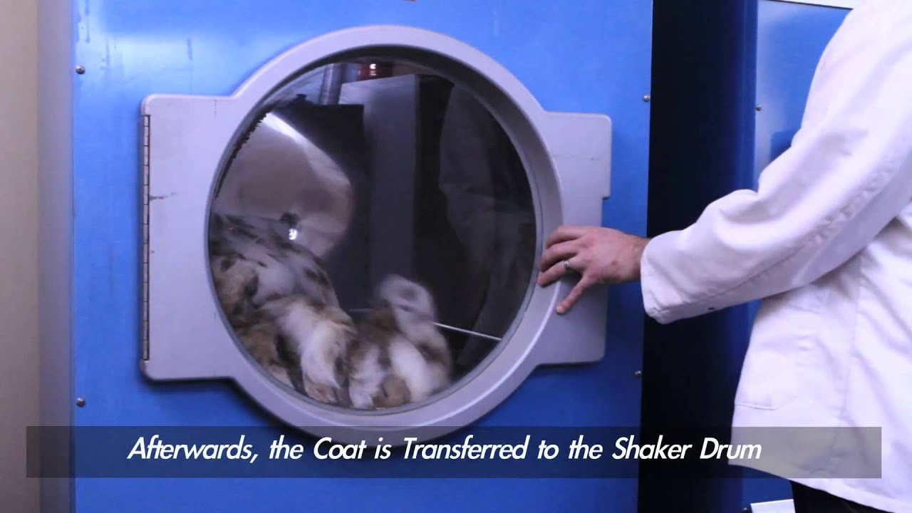 Fur Cleaning and Glazing 101