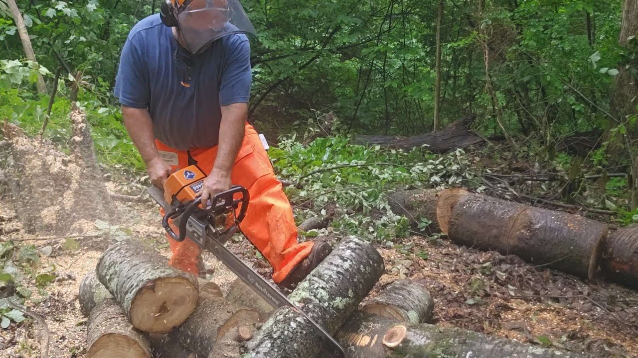 Holzfforma G466 is it any good?  #forestry #chainsaws#powertools
