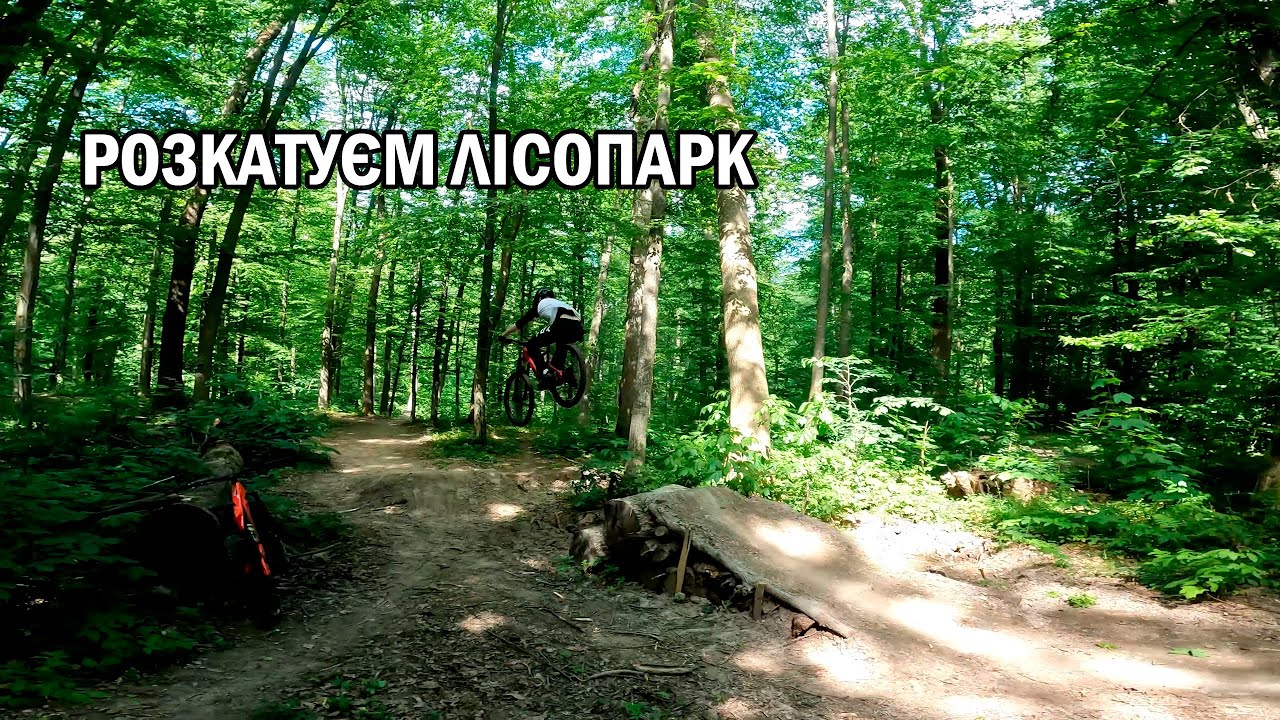 Розкатуєм лісопарк