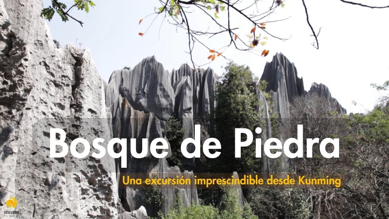 Visita al Bosque de piedra desde Kunming, China