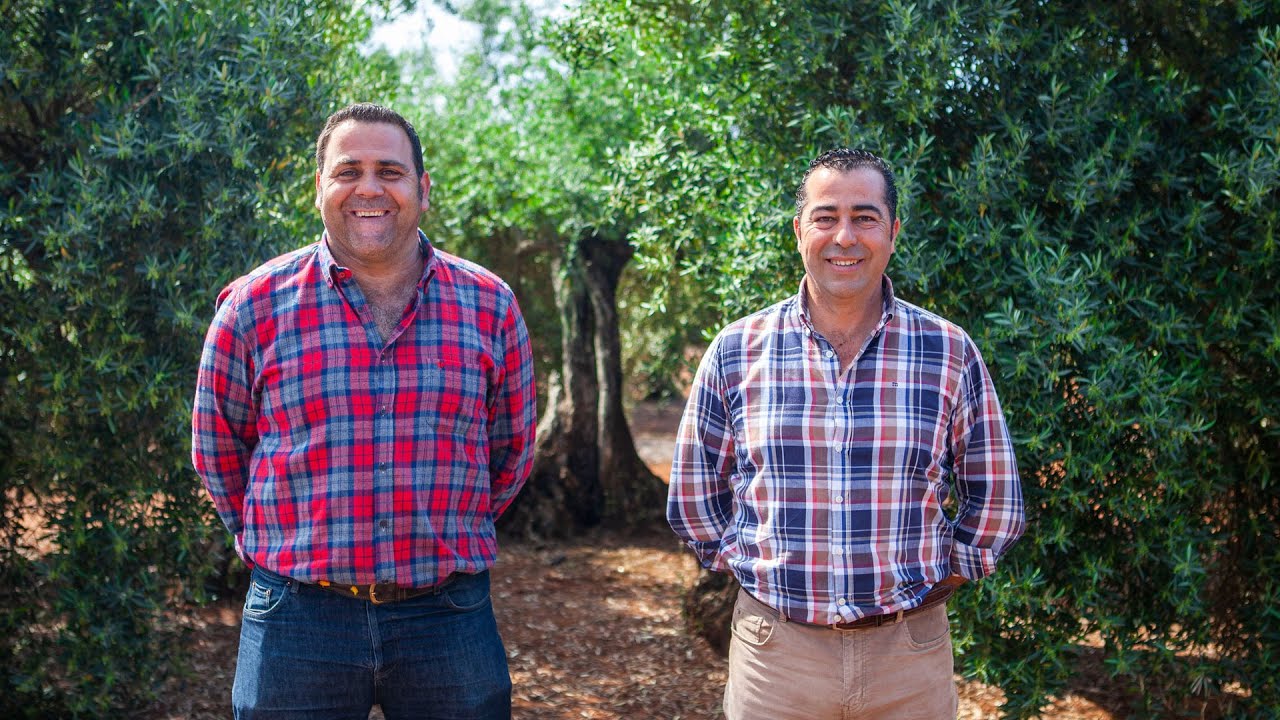 Francisco y Sergio nos cuentan la importancia de la nutrición en la floración del olivar