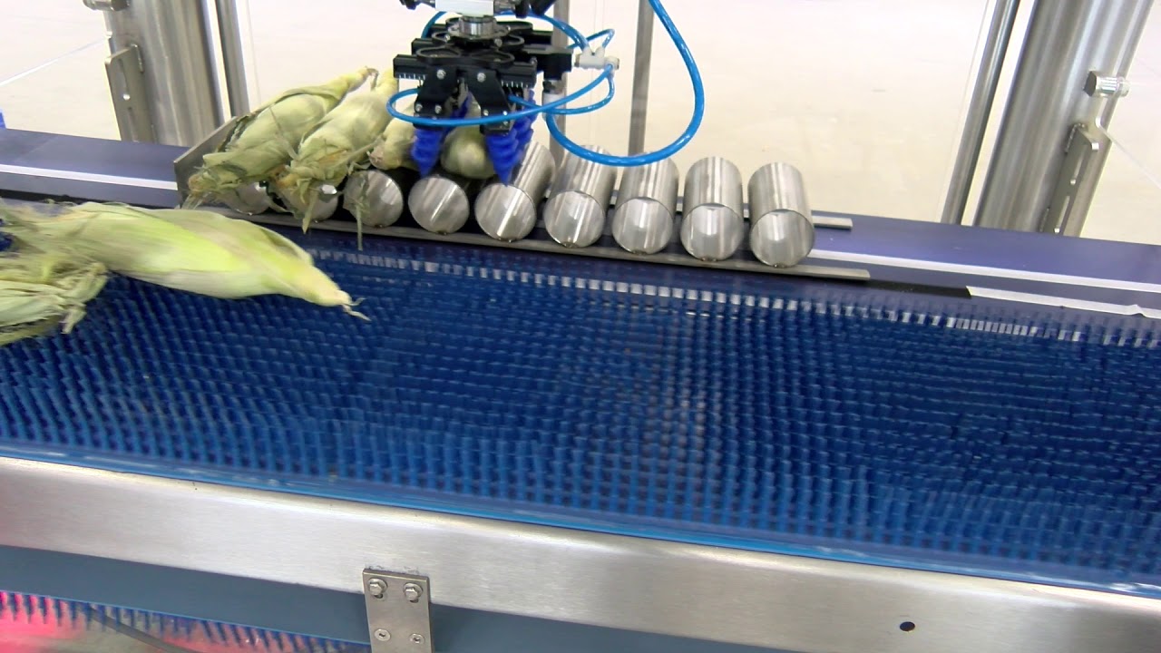 ProEx Food Robotic Orienter