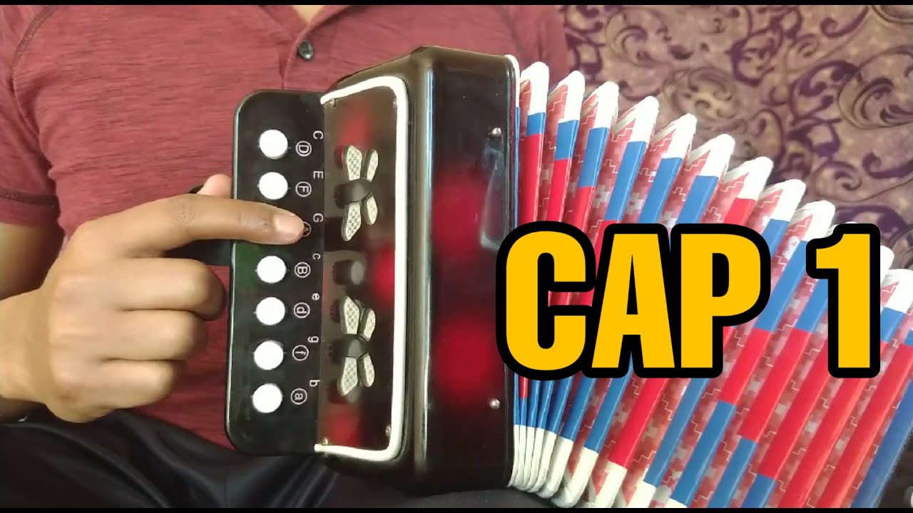 Aprende Mini Acorde&oacute;n | Cap 1 