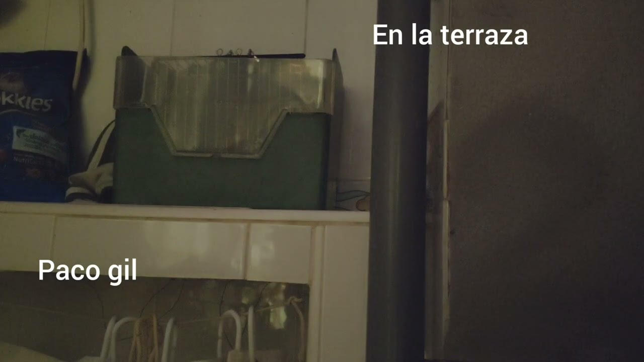 jilguero el enfadao