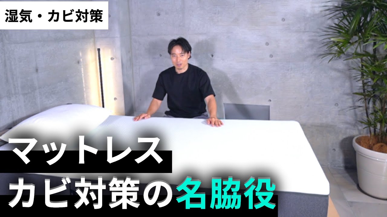 【カビ対策】マットレス下の除湿シート｜正しい使い方とおすすめ３選