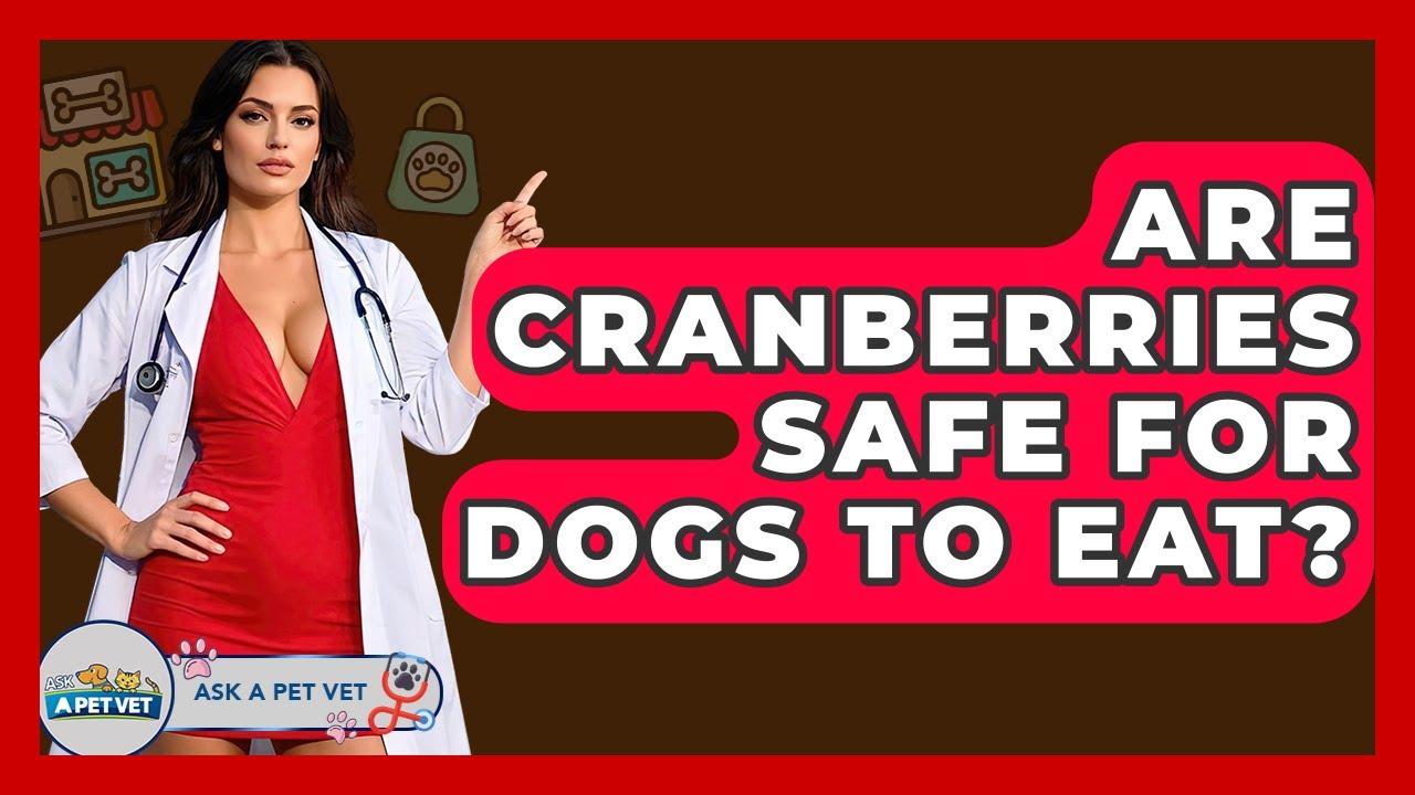 Are Cranberries Safe For Dogs To Eat? - Ask A Pet Vet