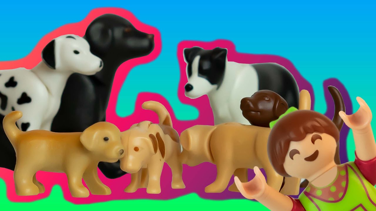 Playmobil Lina und Luki - Bekommen wir einen Hund ?