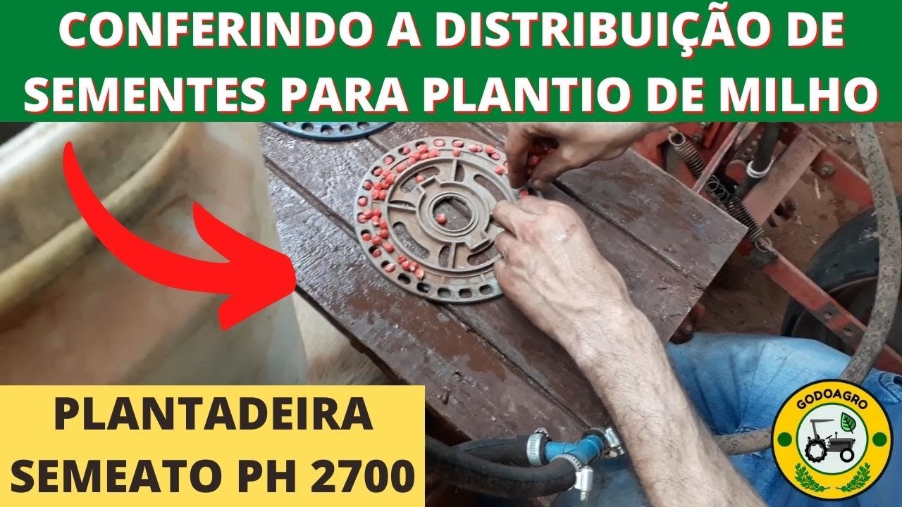 CONFERINDO A DISTRIBUI&Ccedil;&Atilde;O DE SEMENTES DA PLANTADEIRA SEMEATO PH 2700