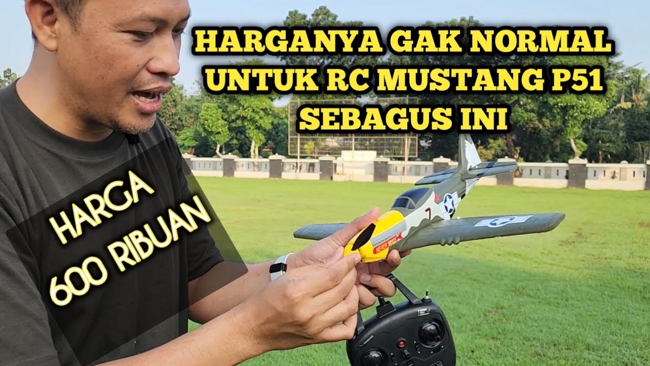 Review dan Tes Terbang RC Mustang P51 W551 4 Channel RTF 600 Ribuan