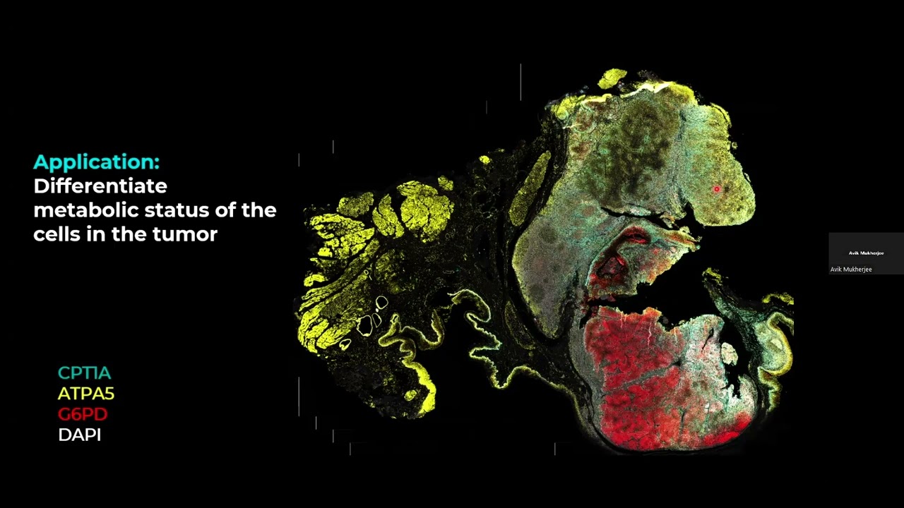 Protein Spatial Phenotyping Seminar