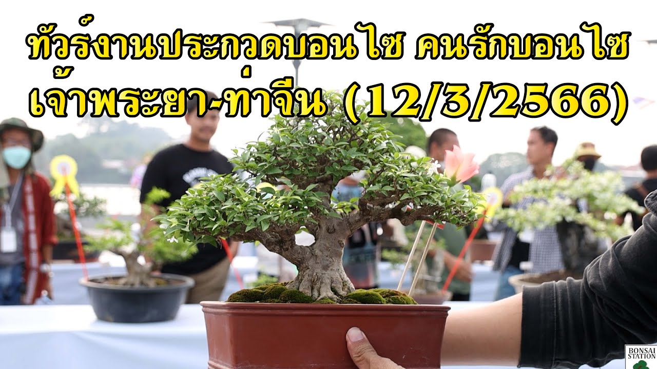 Bonsai Station [Tour Station] EP.32 ทัวร์งานประกวดบอนไซ คนรักบอนไซ เจ้าพระยา-ท่าจีน (12/3/2566)