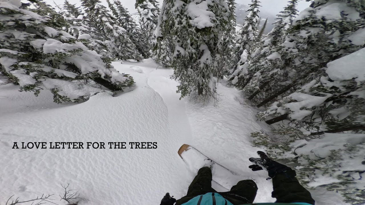 For the love of snowboarding in the trees