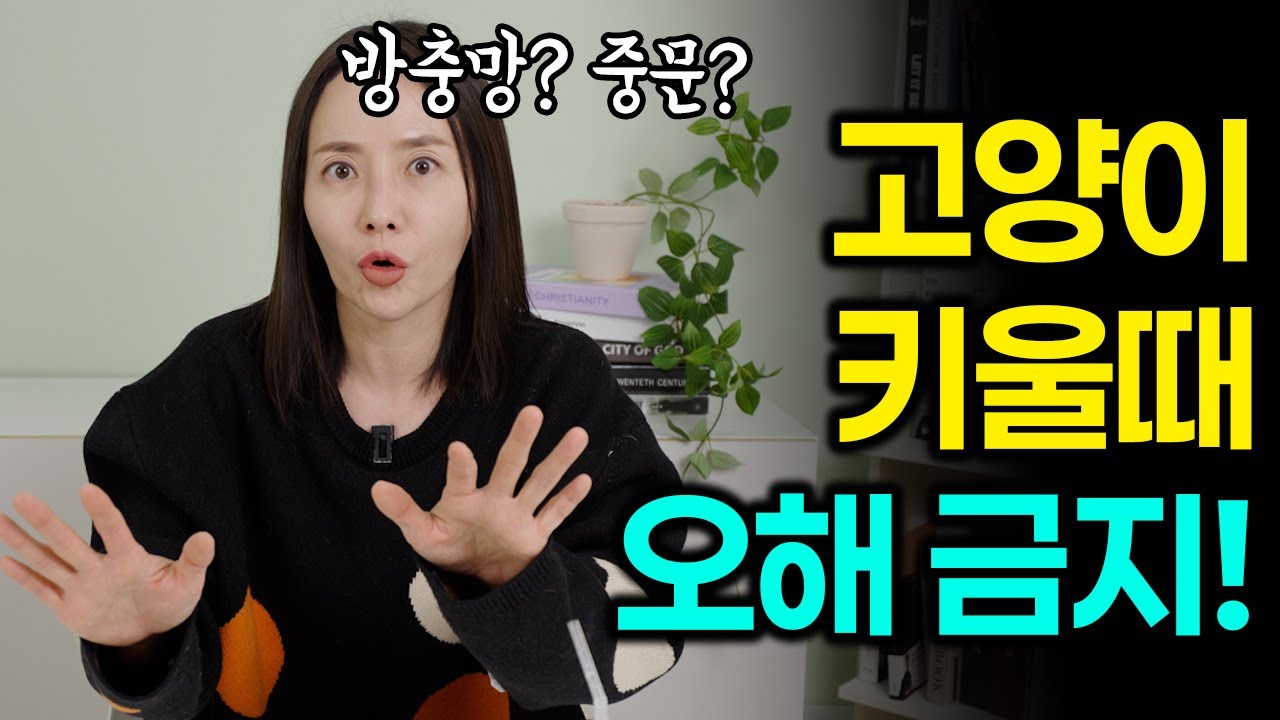 고양이 방충망, 방묘문에 대해서 솔직하게 얘기합니다.