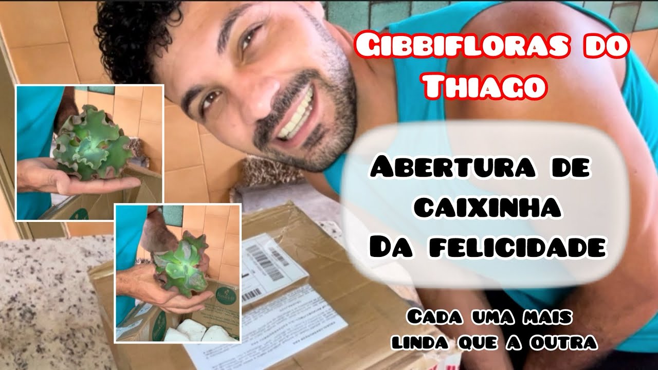 8 de fevereiro de 2026