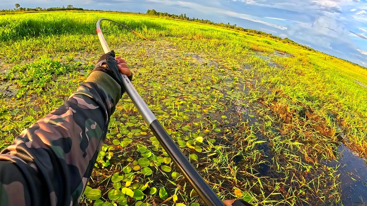 Pesca de Traíra na Bóia com Varinha Telescópica e Isca Natural.