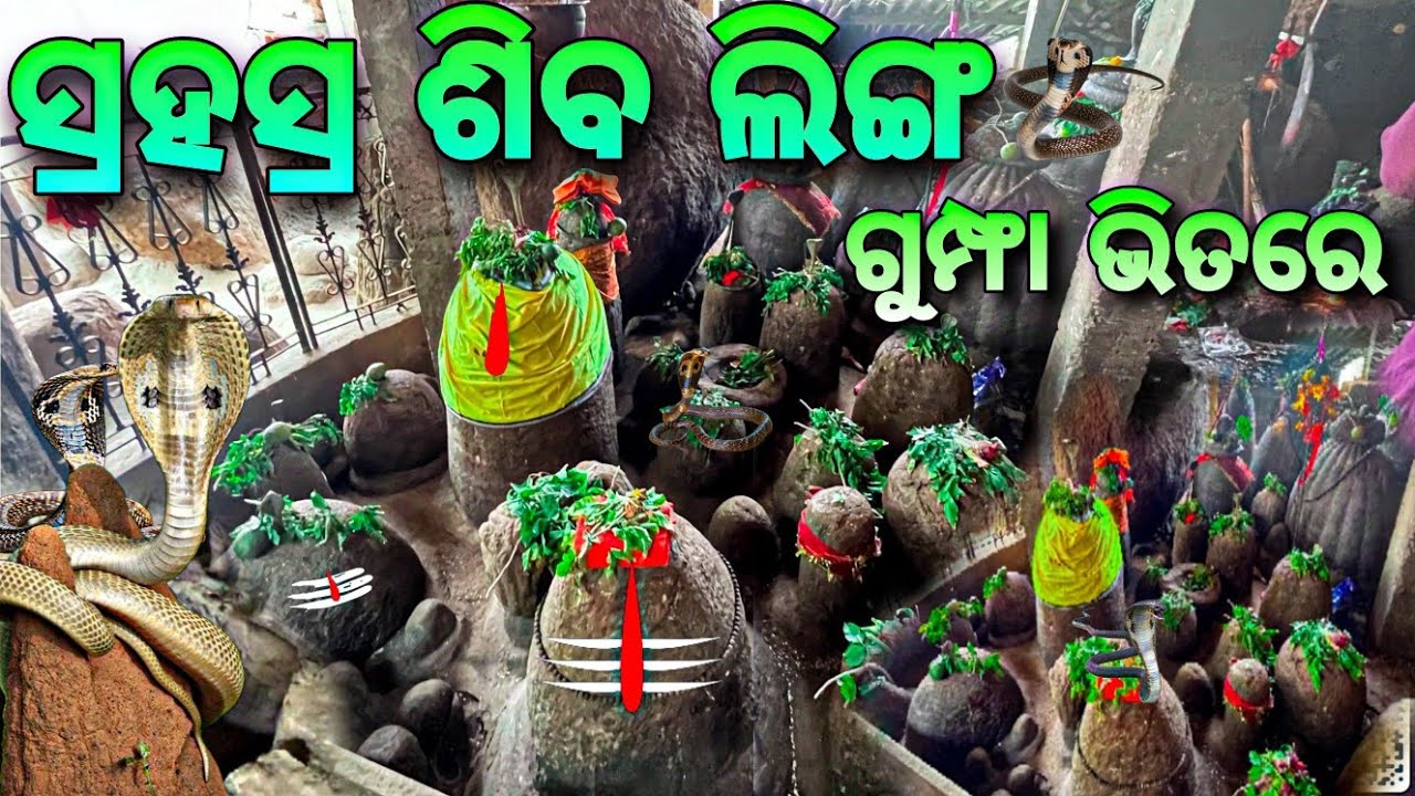 ସ୍ରହସ୍ର ଶିବ ଲିଙ୍ଗ - Sahasra Shiva Linga Temple KutuniPadar Koraput // odia blog // Raj Biswal vlogs 