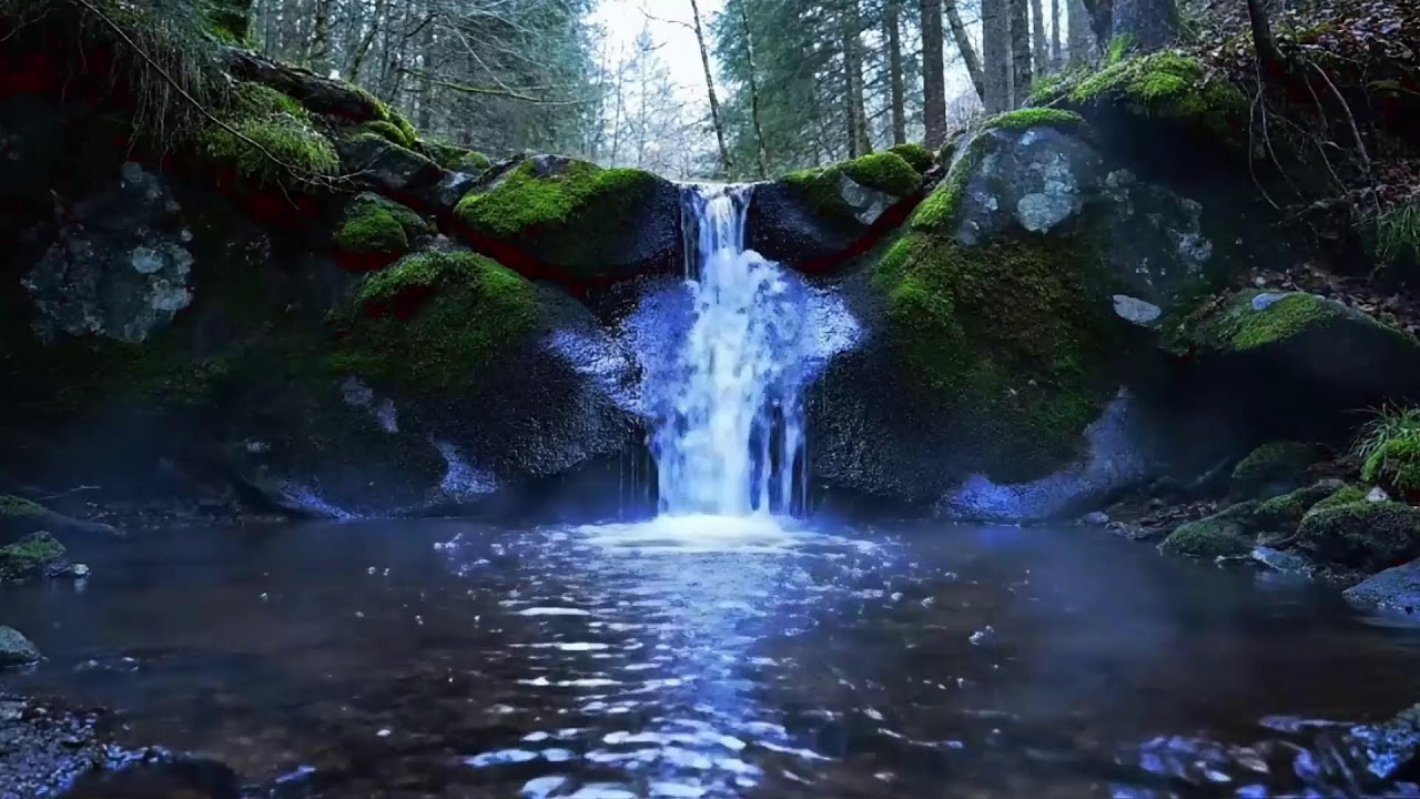 Natural Forest River, Waterfall & Birds | Soothing Nature Sounds (LIVE)