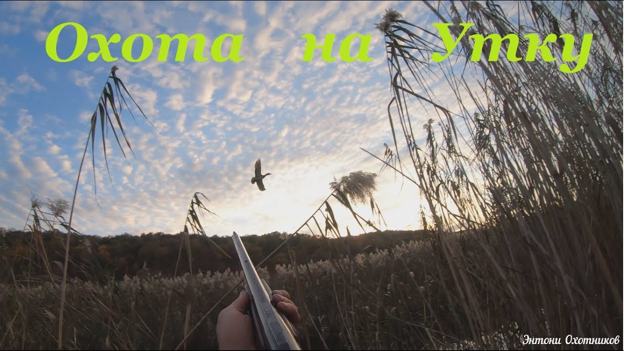 Охота на Утку с МР-18ЕМ 