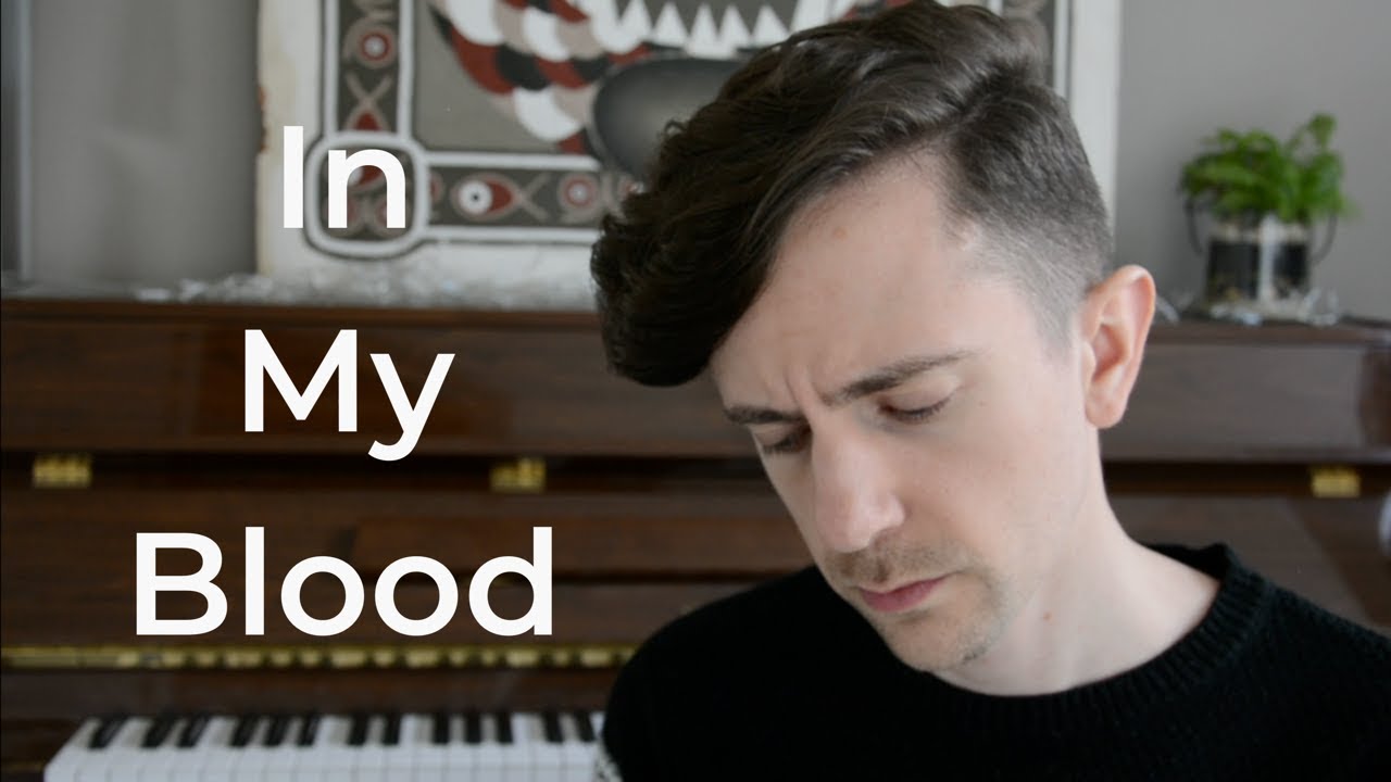 In My Blood  - Shawn Mendes (Robbie Owen Cover)