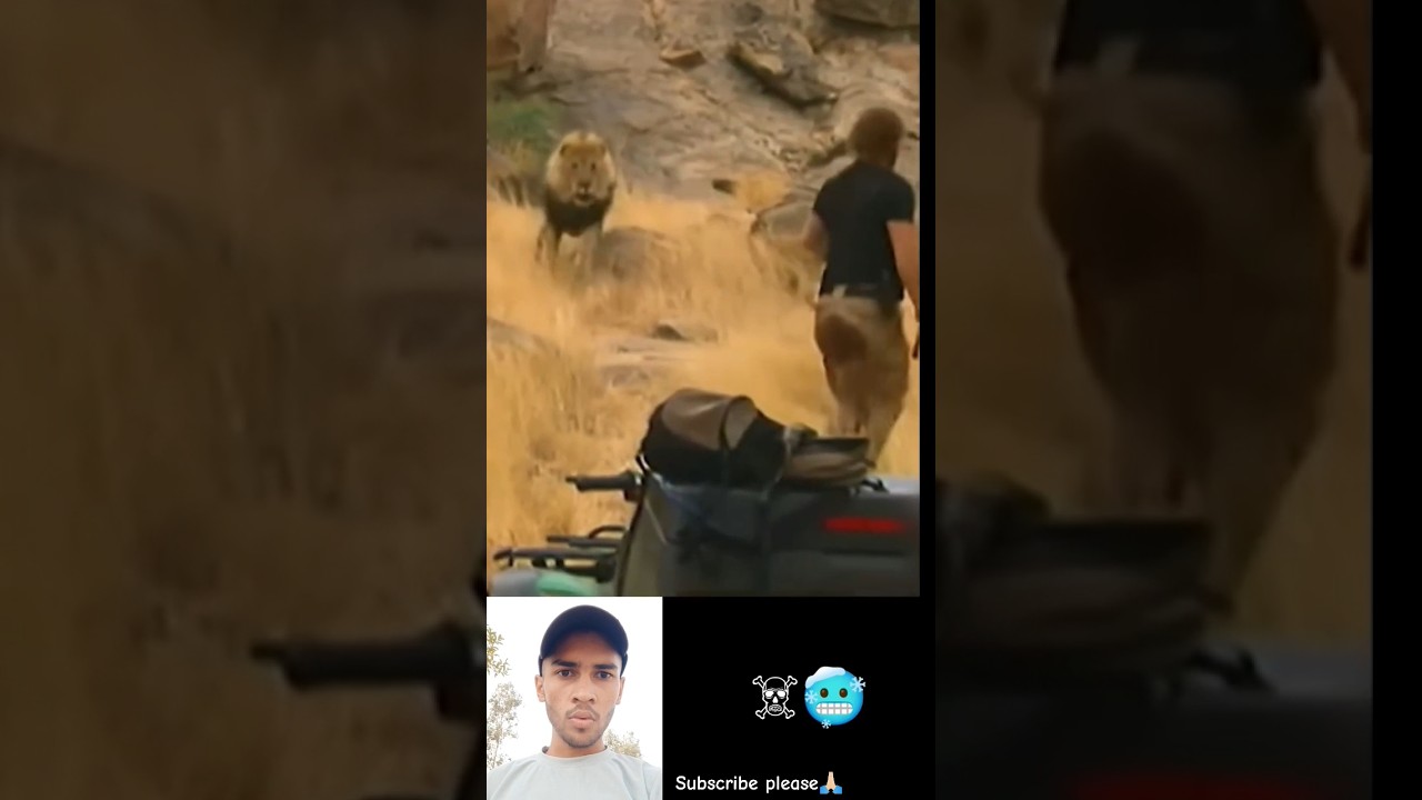 Lion Attack On Men 🥶☠️ #lion #attack #shorts #ytshorts #youtubeshorts
