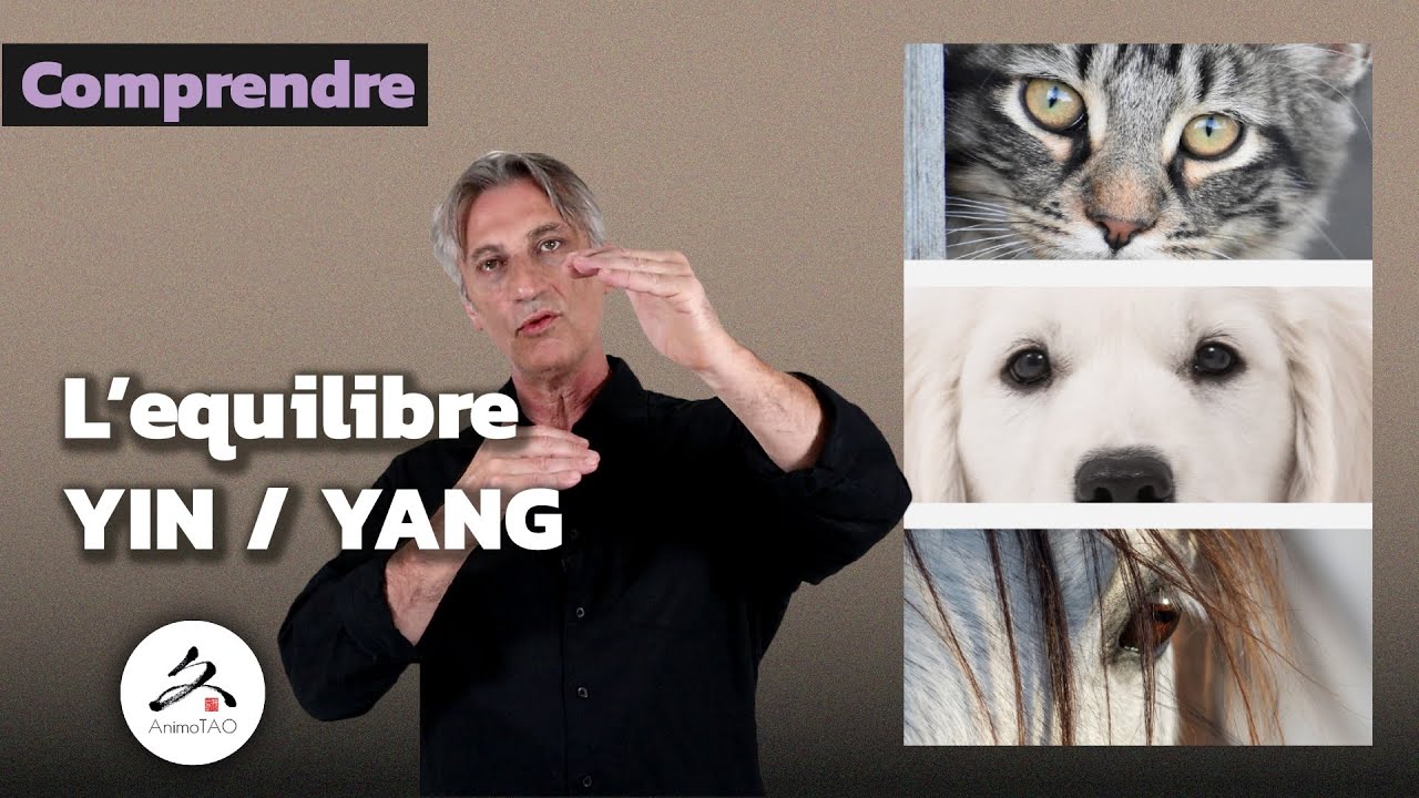 L'équilibre YIN / YANG chez les animaux par Jean-Luc Klein, diplômé en Médecine Chinoise
