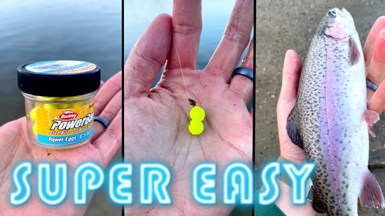 EASIEST Way to Catch STOCKED TROUT #shorts