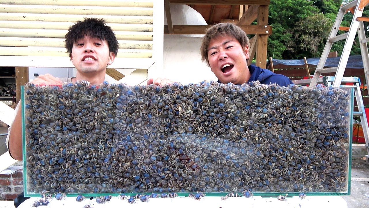 【異常事態】大量捕獲した味覚麻痺カニを”生”で食べてみると…食べない方がいいです。