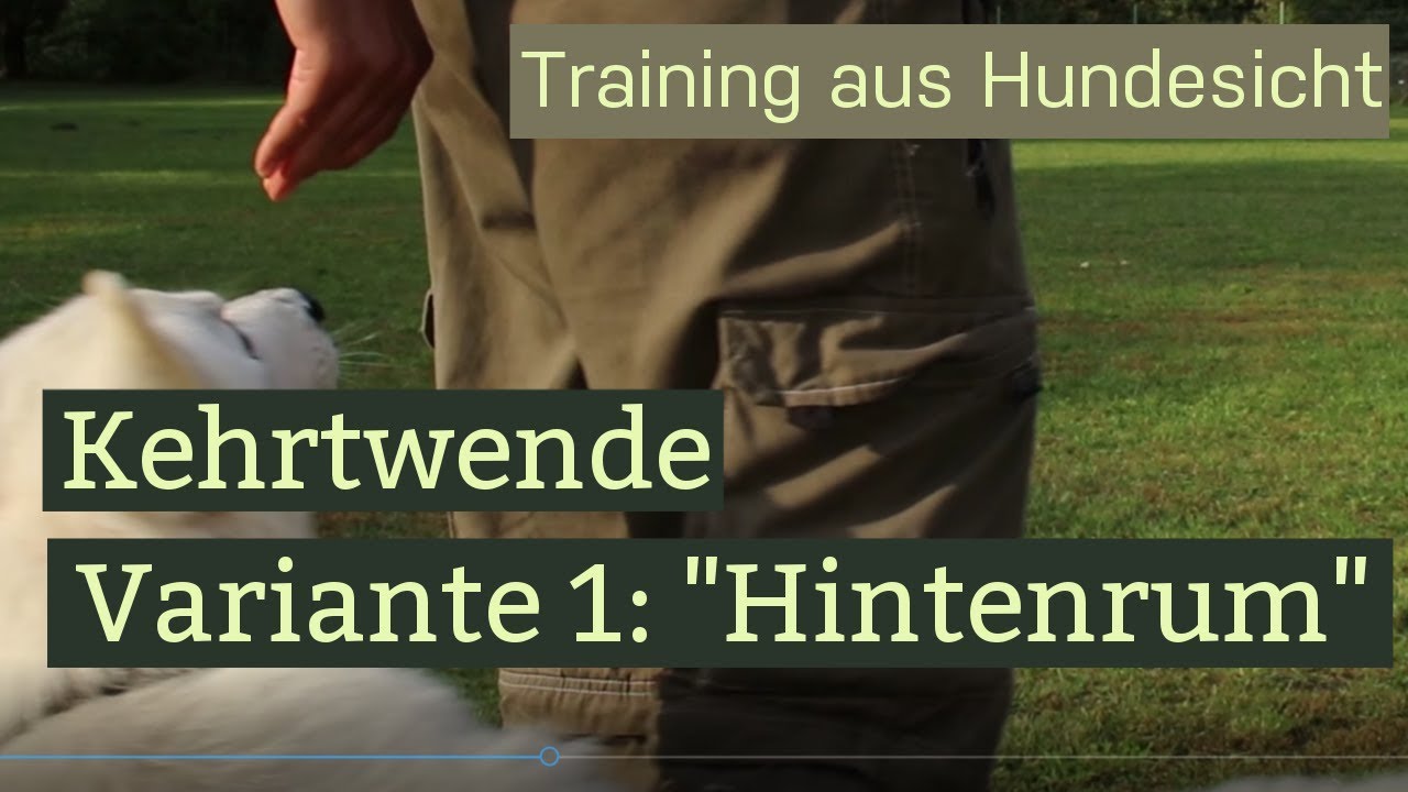 Kehrtwende Variante 1 - Ohne Stress und Zwang #Hundetraining
