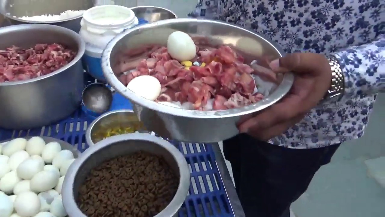 Best feed for Siberian Huskies I Top Siberian Husky Breeder