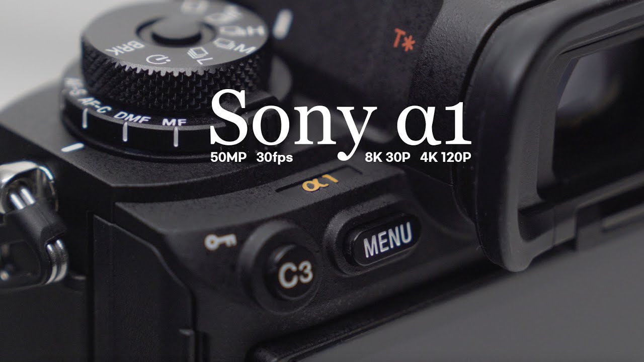 단 하나의 카메라 소니 A1 사용 후기 | The One Sony α1