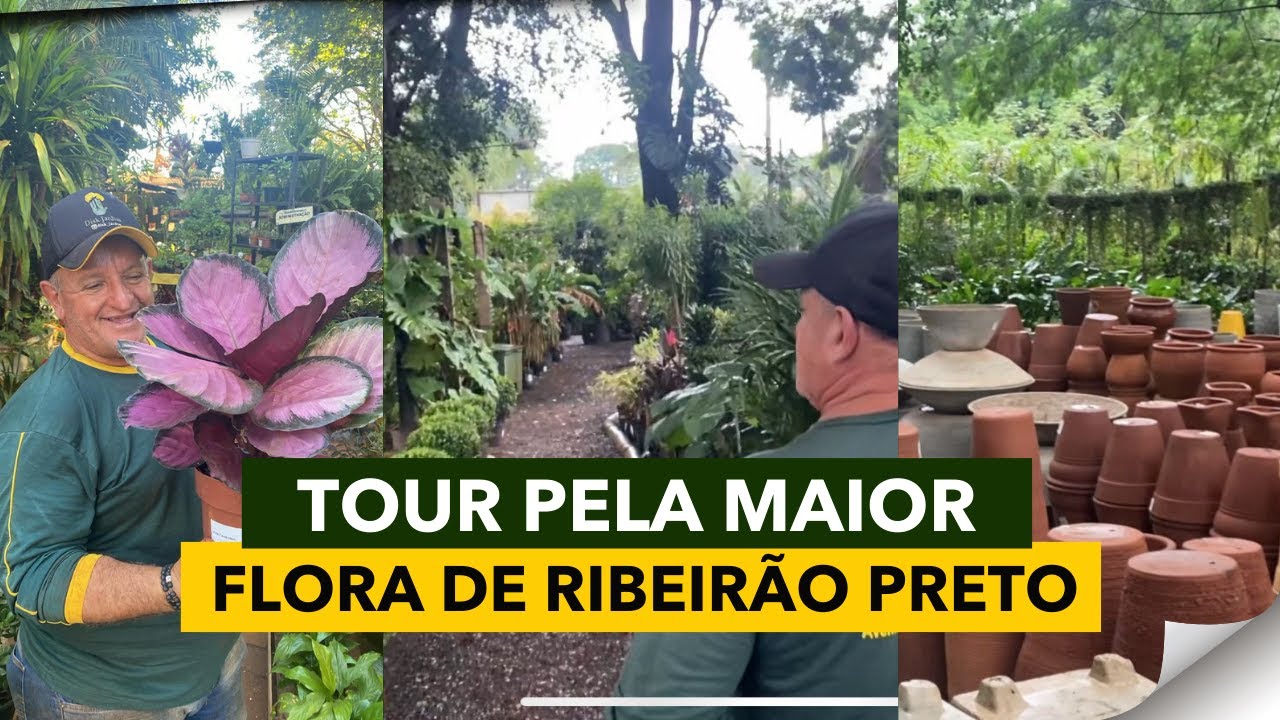 TOUR PELA MAIOR FLORA DE RIBEIRÃO PRETO