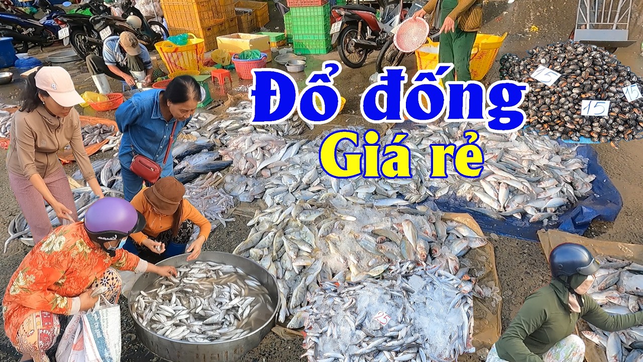 Sáng nay cá đổ đống bán rẻ như cho vào tháng giêng | Góc Miền Tây #596