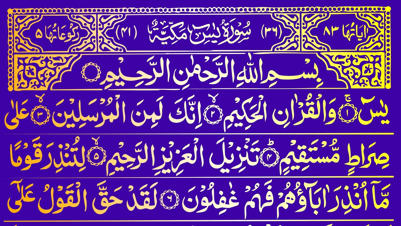 Surah Yaseen Surah Rahman | Best Qur'an Recitation | Surah Yasin Tilawat | Full Arabic text HD