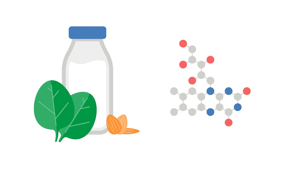 Mirasol Pathogen Reduction Technology: How it works