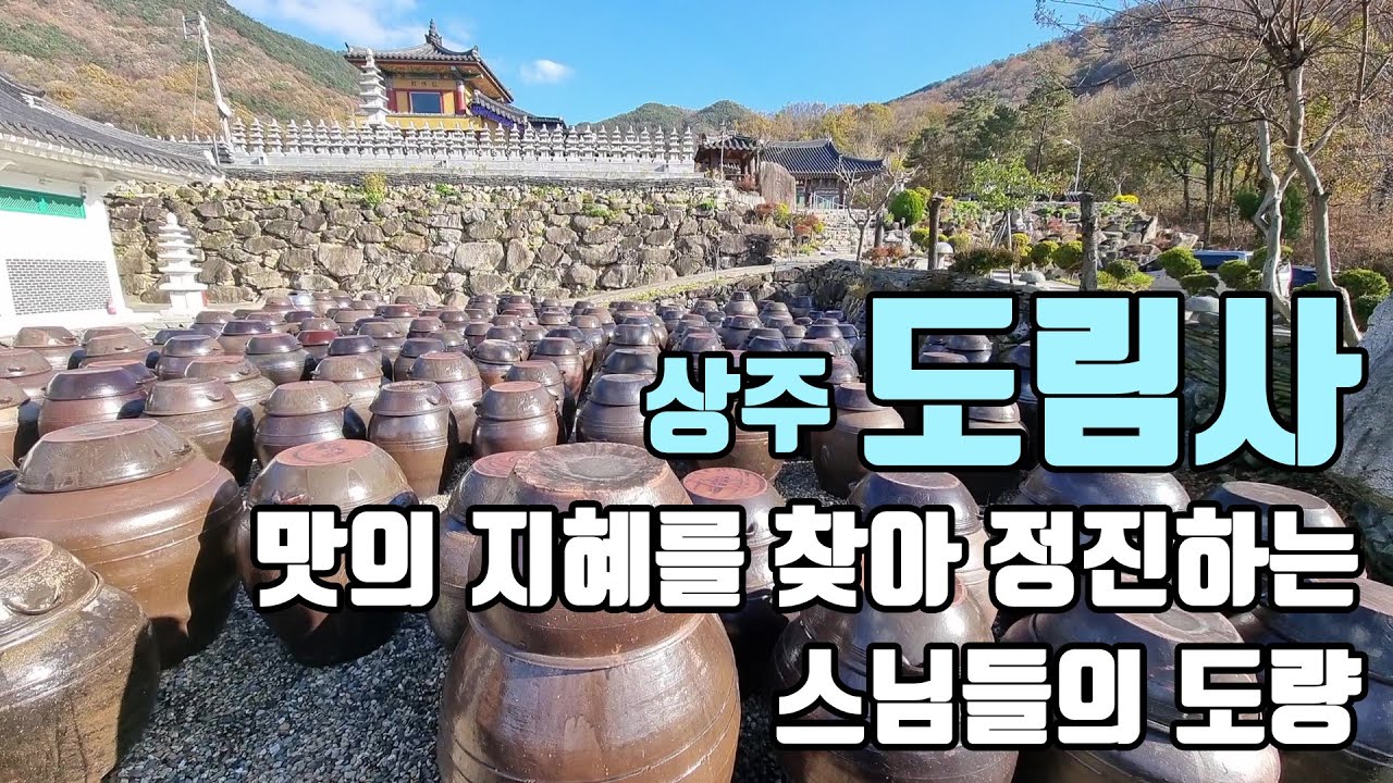 맛의 지혜를 찾아 정진하는 스님들의 도량, 상주 도림사, TV프로그램 세스님과 홍인이 [좋은절 #7 / 경북 상주 사찰]