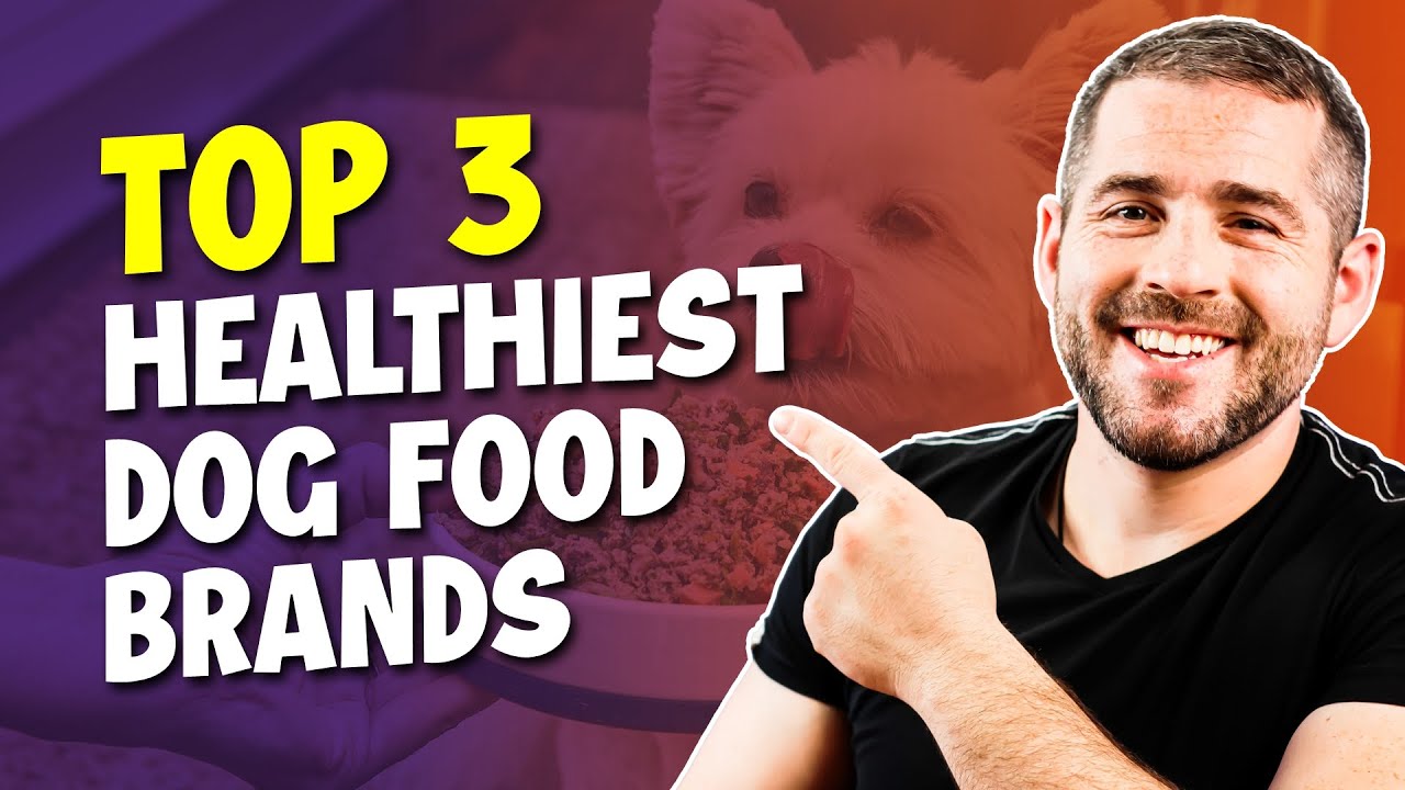 Best Healthy Dog Food For 2026
