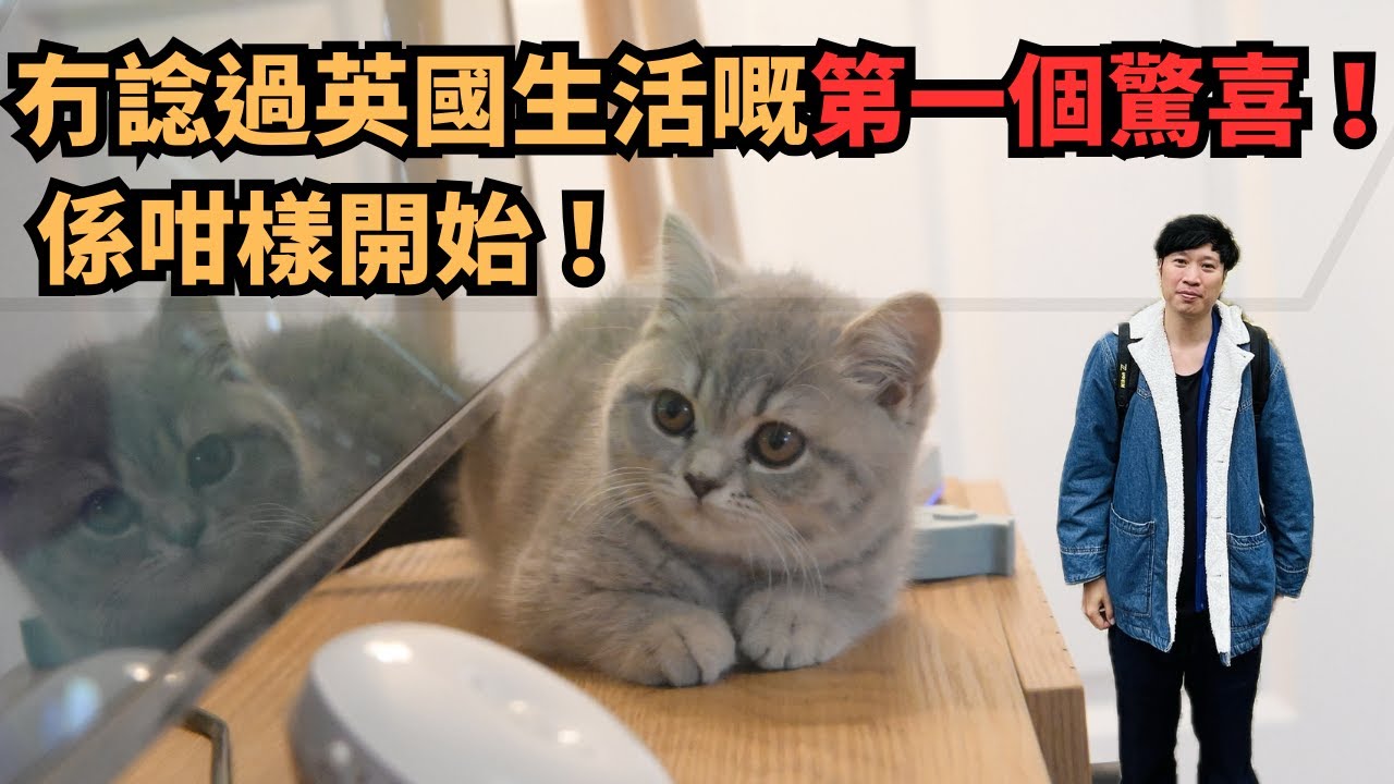 冇諗過英國生活嘅第一個驚喜，係咁樣開始… ✨