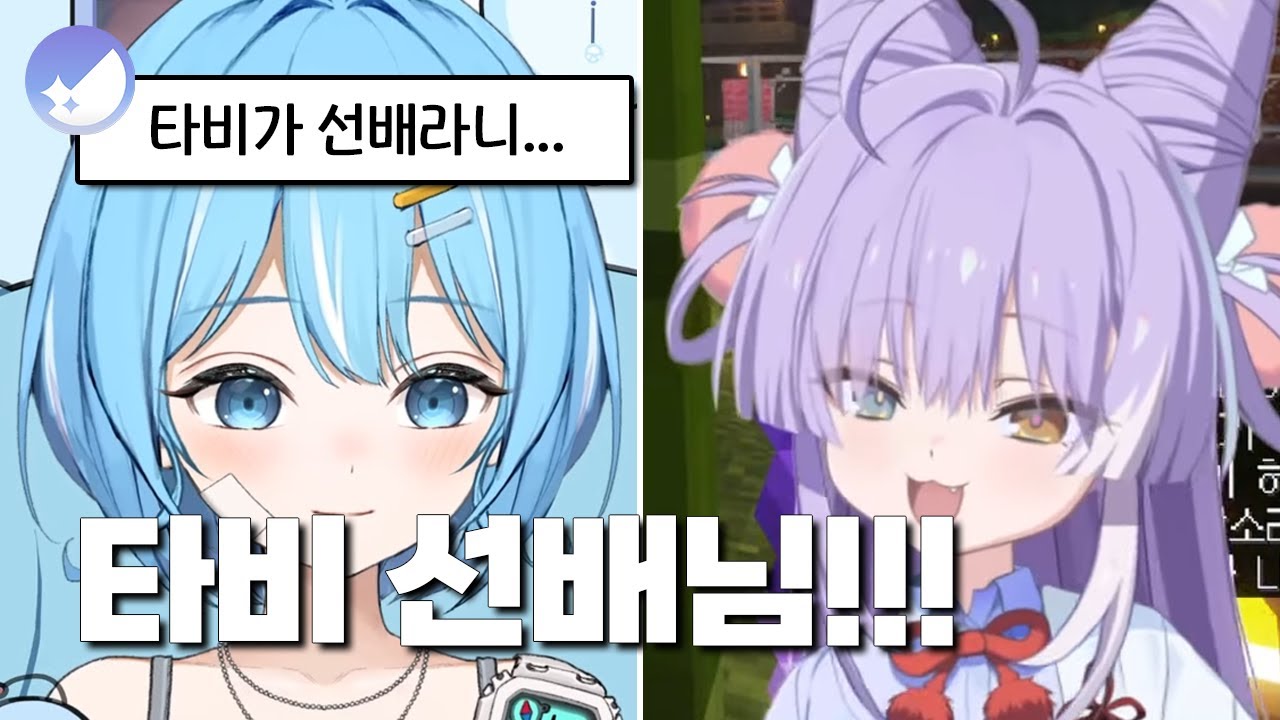 [스텔라이브] 스텔서버 타비 선배를 만난 3기 후배들
