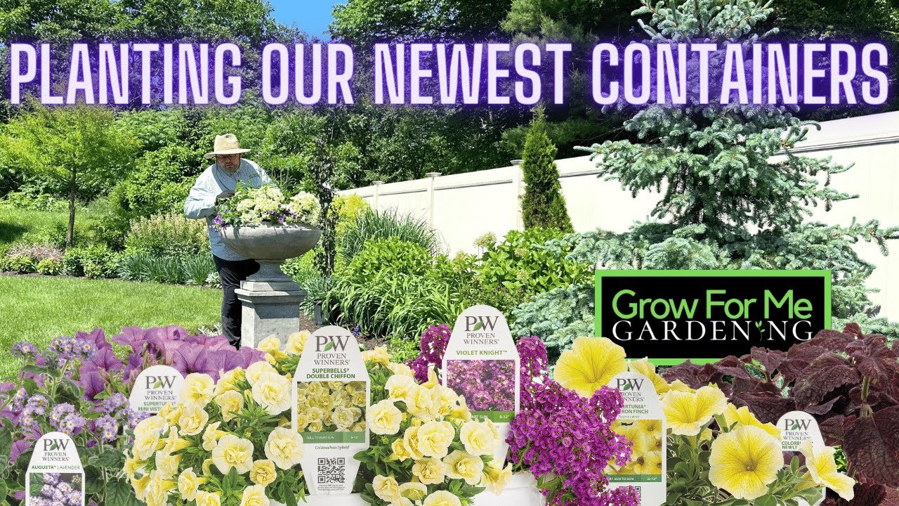 Filling our New Urns with Colorful Shrubs, Annuals, and an Evergreen ⭐️ Fun Planting Combinations