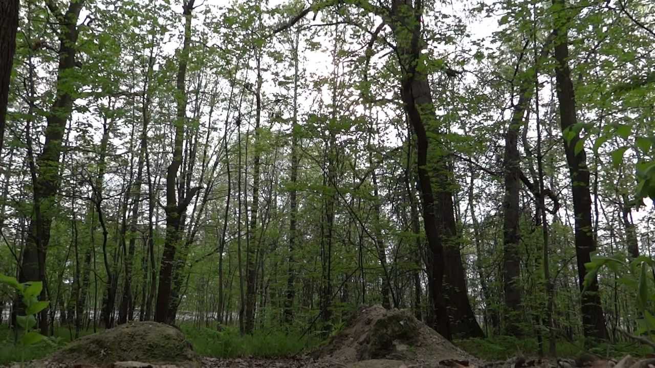 Goczały DH