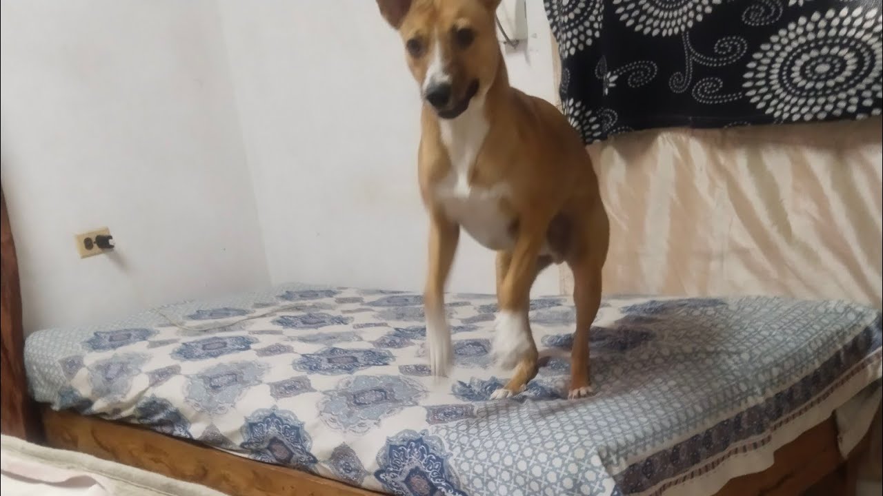 ¡LEO de CUBA 🇨🇺 está emitiendo en directo!