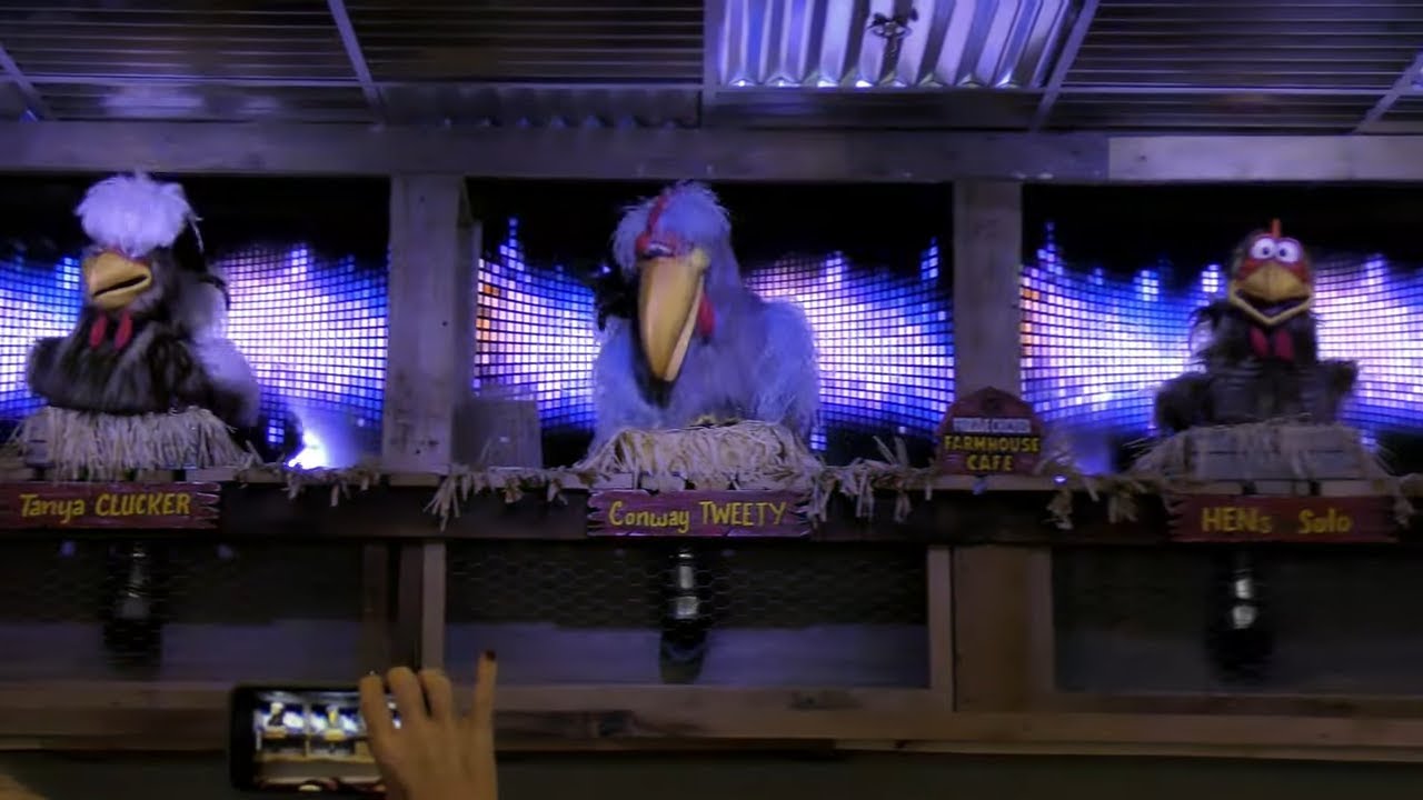 Frizzle Chicken Farmhouse Cafe - The Animatronic Chicken Restaurant