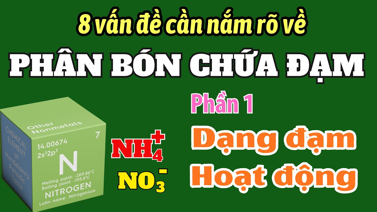 8 vấn đề cần nắm rõ về phân bón chứa ĐẠM | Phần 1: Dạng đạm, hoạt động trong cây trồng