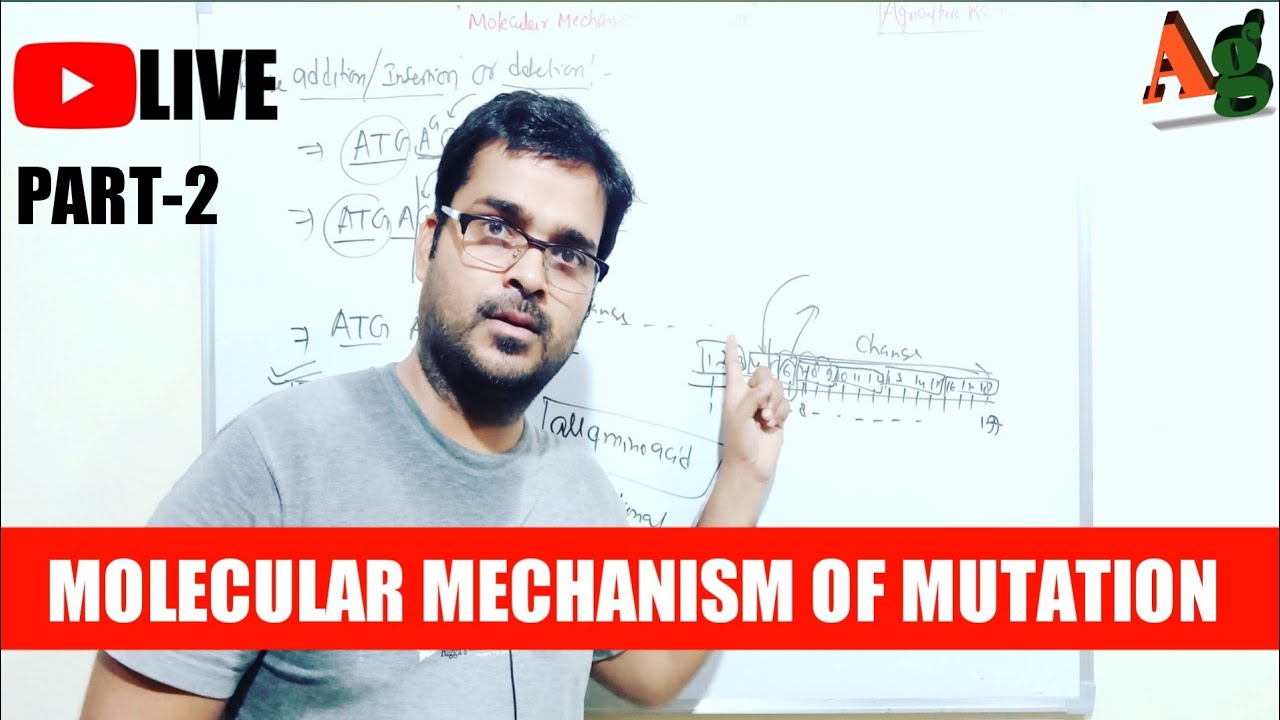 Molecular Mechanism of Mutation | Plant Breeding and Genetics | Agriculture