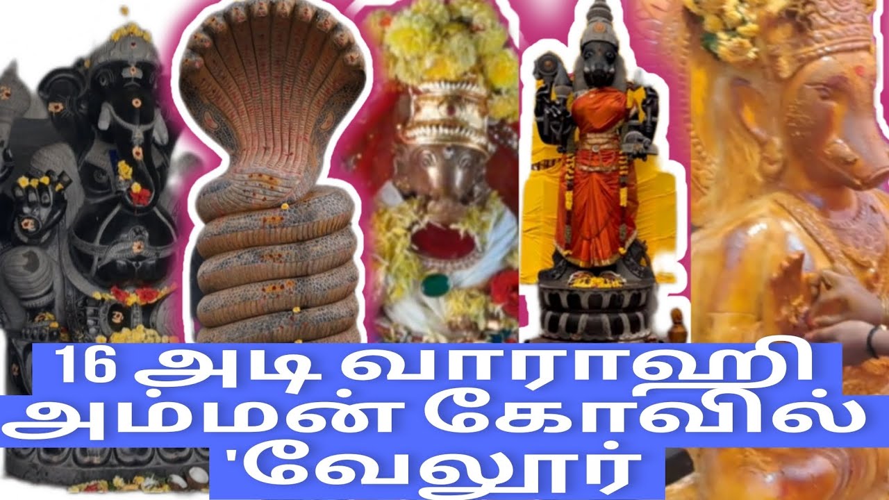 TriSthalam Sri Varahi Kshetram DhurvAshram |த்ரீஸ்தலம் ஸ்ரீ வாராஹி ஷேத்ரம் துர்வாஸ்ரமம் | Vellore