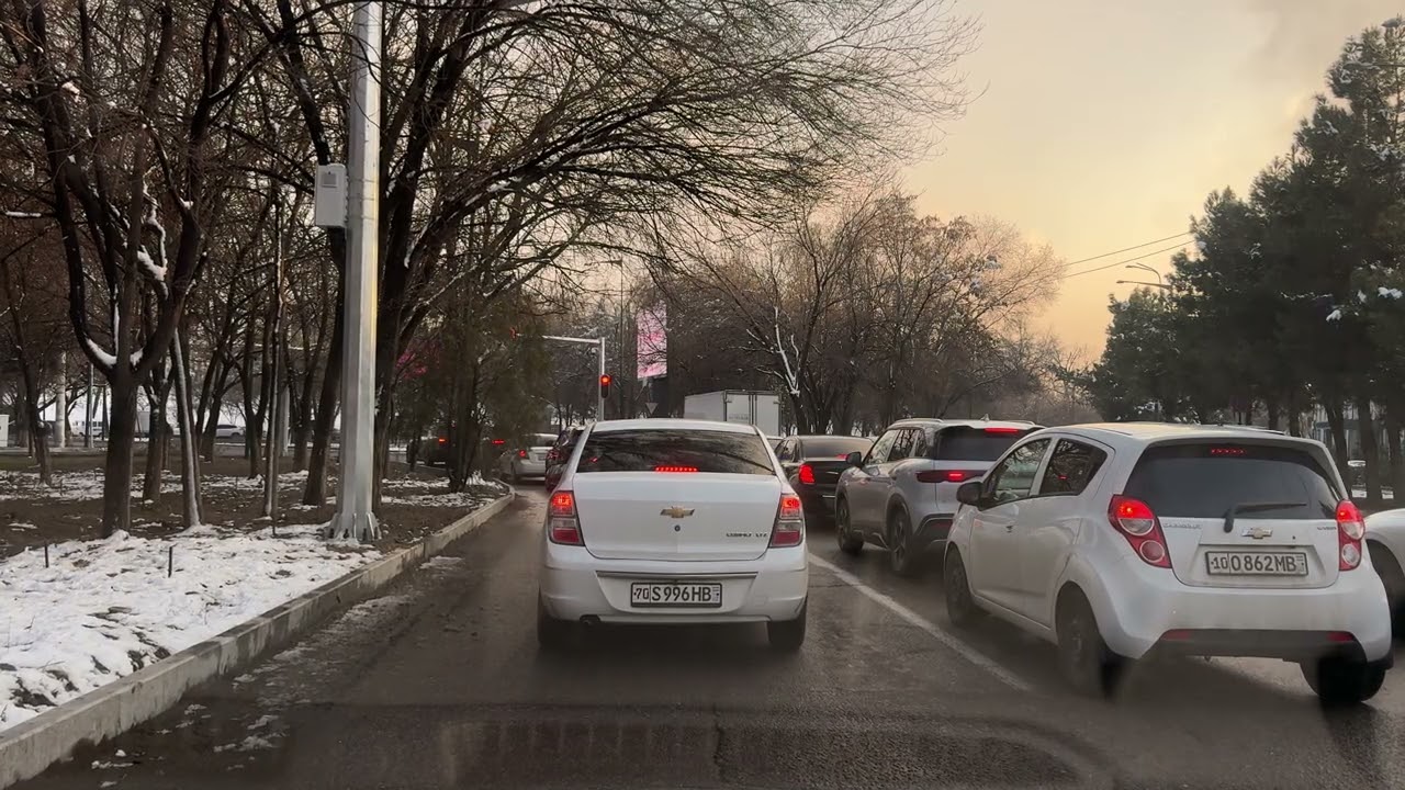 29 января 2026 г.