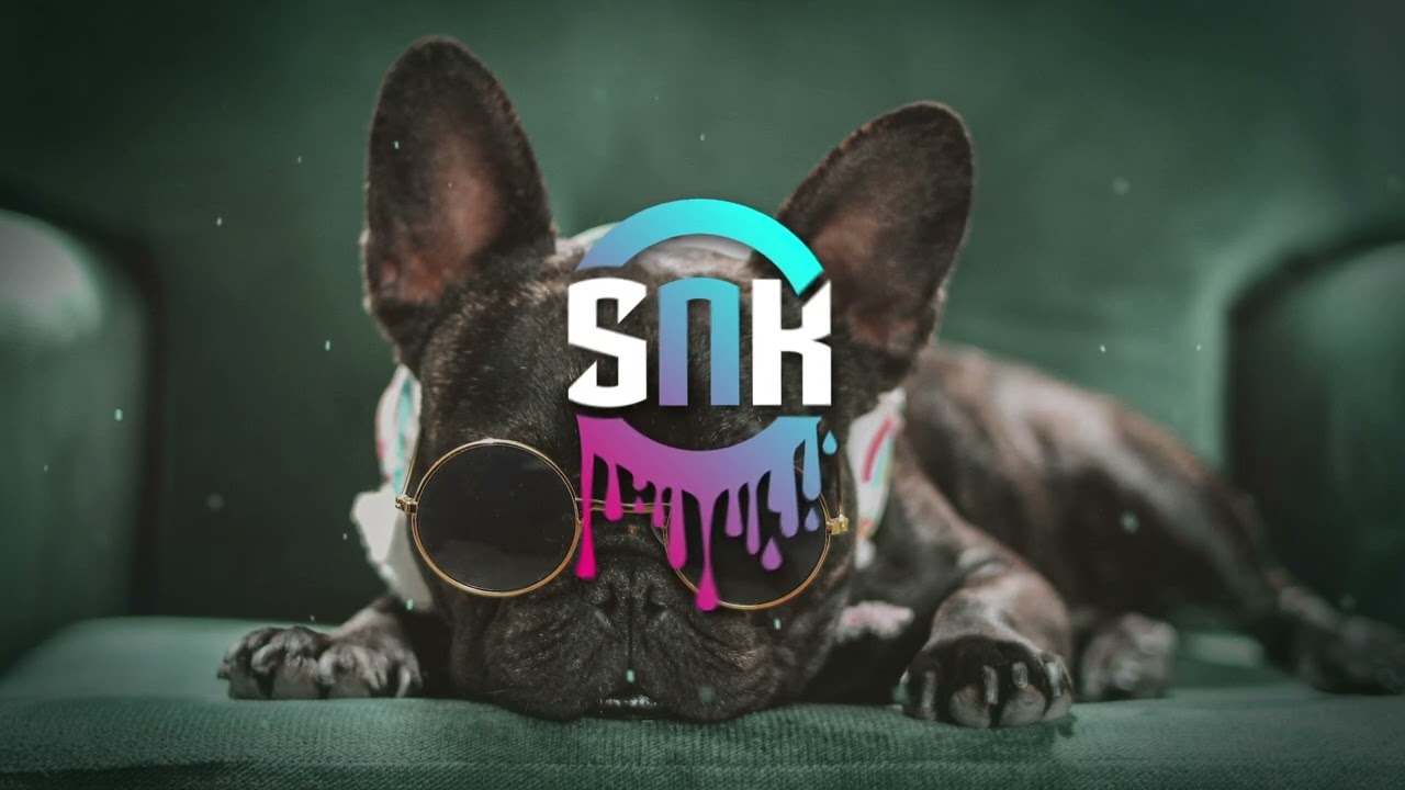 NINA CHUBA x PARADISE x CLUB BANGER 🔥 HARDSTYLE MIX #36 | MEGAMIX 2022 🔥 LIVESET BY SNK MUSIC