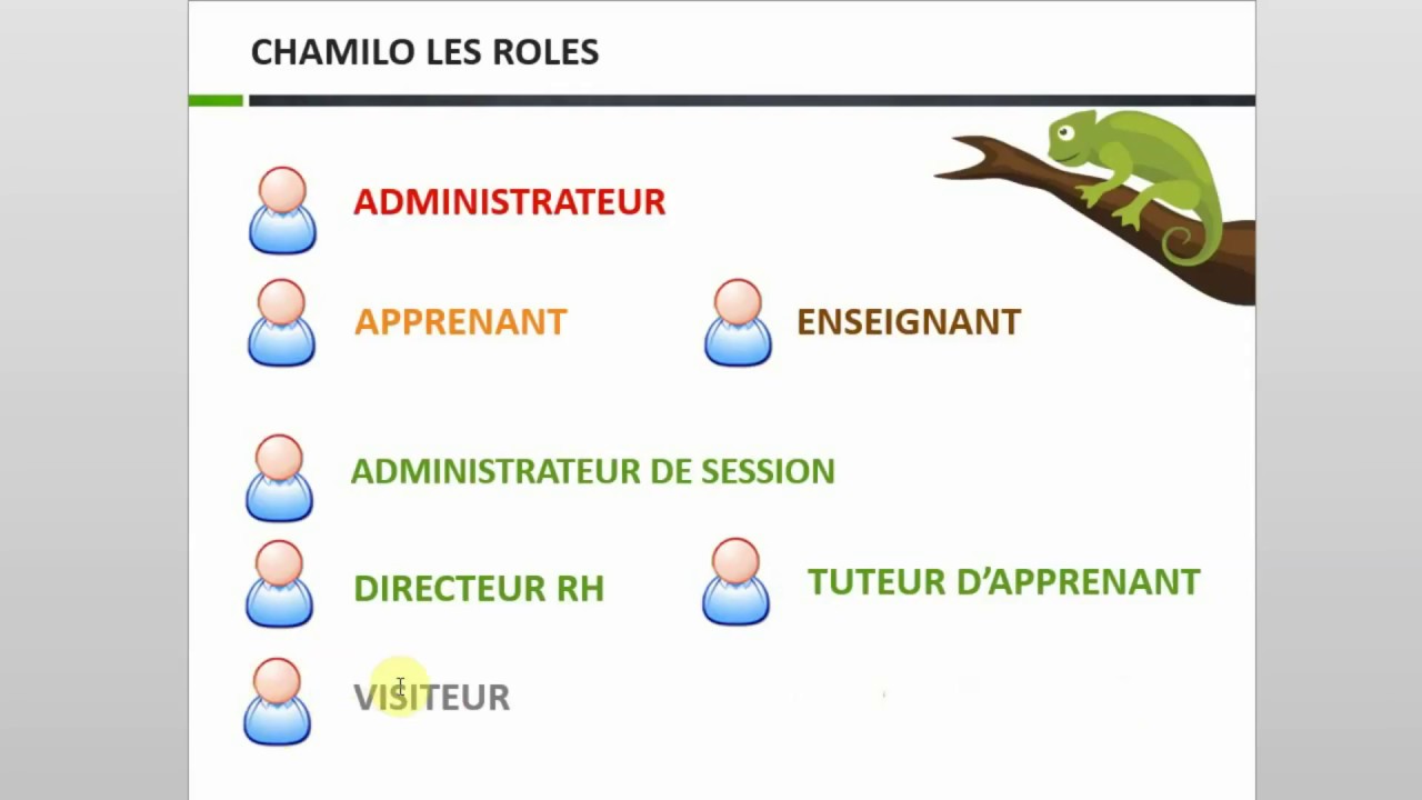 Formation en Vidéo Chamilo Part 1