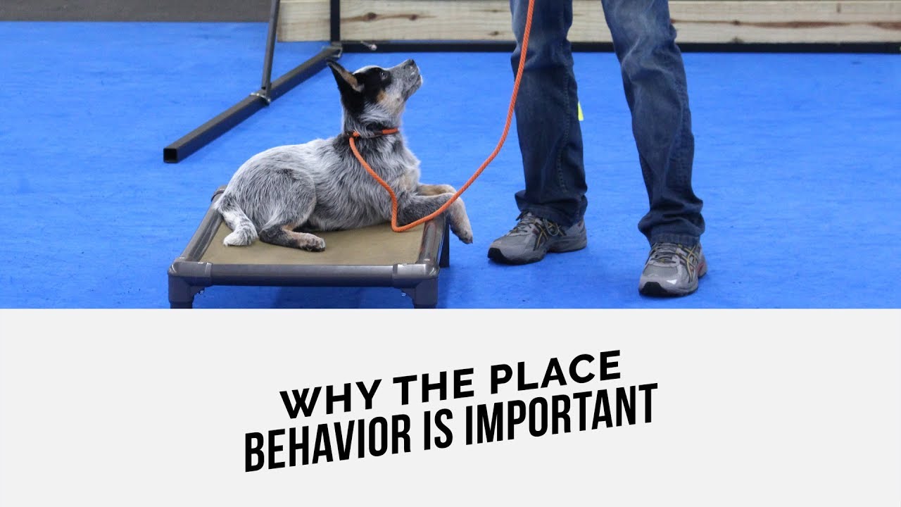 Why the PLACE COMMAND is IMPORTANT