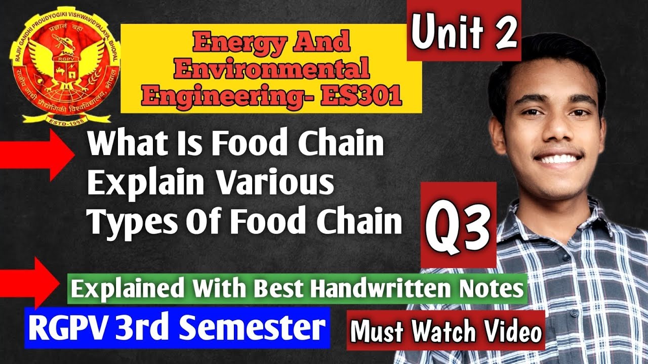 Food Chain | Rgpv Energy And Environmental Engineering Most important question
